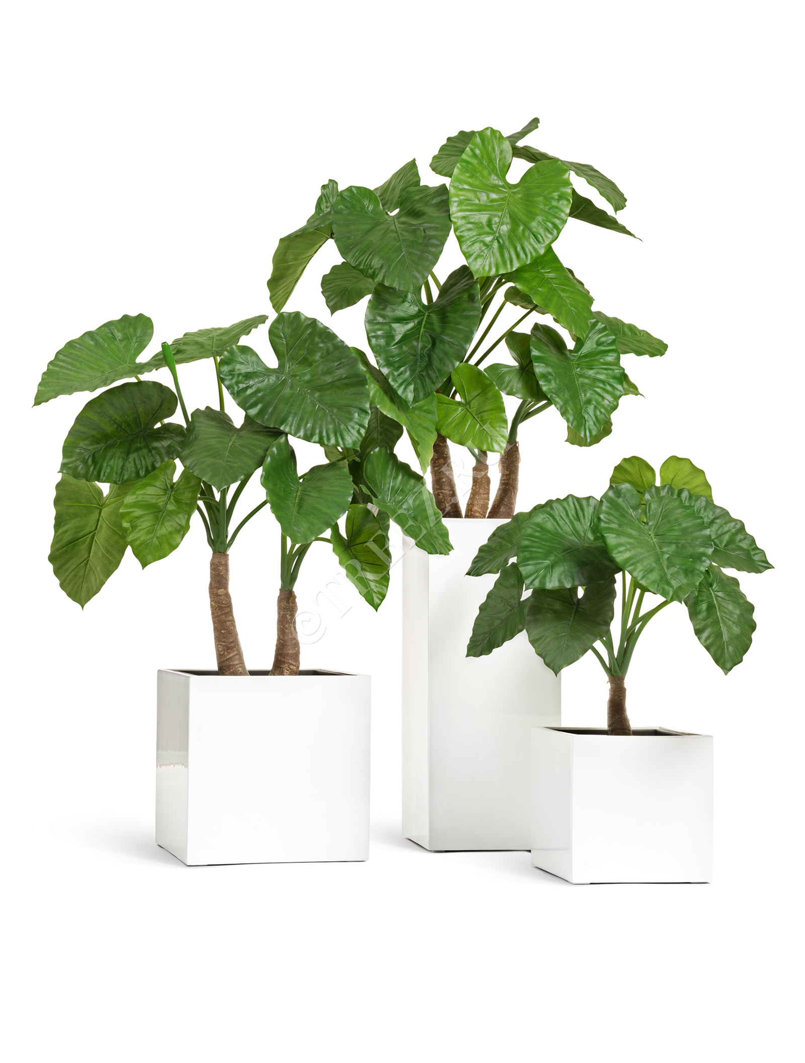 41.3320-05-033-WH-30 Кашпо  Effectory - серия Gloss - Куб - Белый глянцевый лак Цветочная коллекция  - Вид №6