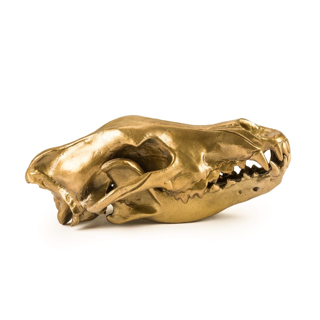 Статуэтка декоративная металлическая 14х28 см золотая Wunderkrammer Wolf Skull SELETTI  00-3883242 Золото  - Вид №4