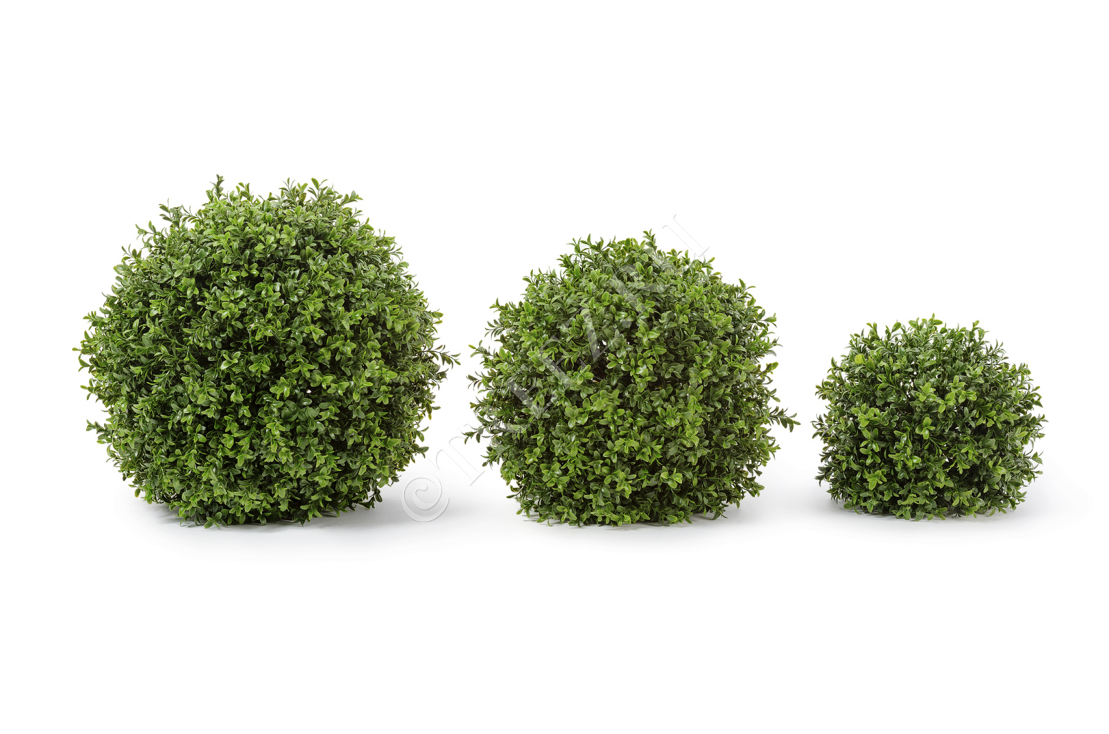 10.44630N Самшитовый шар (Декор) Цветочная коллекция 