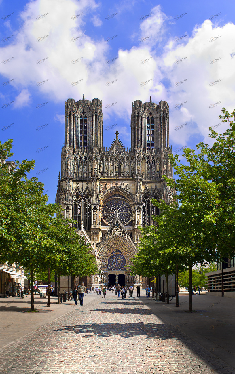 Фотокартина 60х90 см "Реймс" PANKOVSKY STUDIO ПЛАСТИФИКАЦИЯ 015870 Голубой;коричневый;серый 