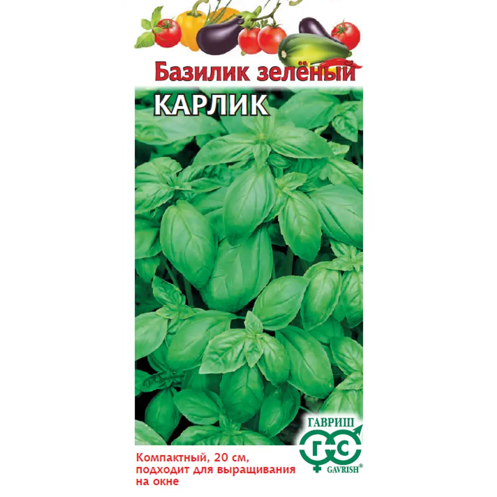 Семена базилика Карлик зеленый ГАВРИШ - компактный сорт для дома и сада 89401757 STLM-1571131