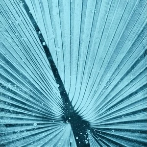 Арт-панель на холсте Alex Turco Organic Blue Palm