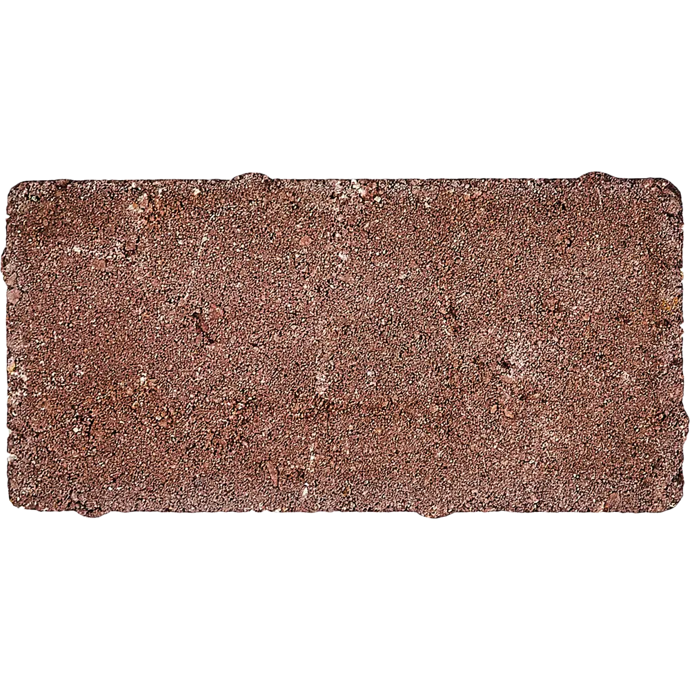 Плитка тротуарная 200x100x60 мм цвет красный 82274686 STLM-2142930 Santreyd  - Вид №1