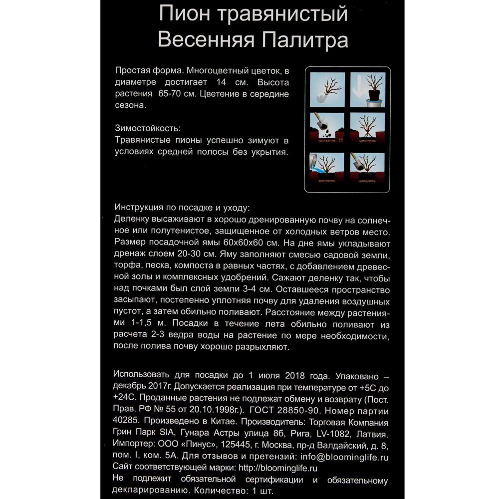 Пион травянистый «Весенняя палитра» (в тубе) 81948484 STLM-2072690 Santreyd  - Вид №2