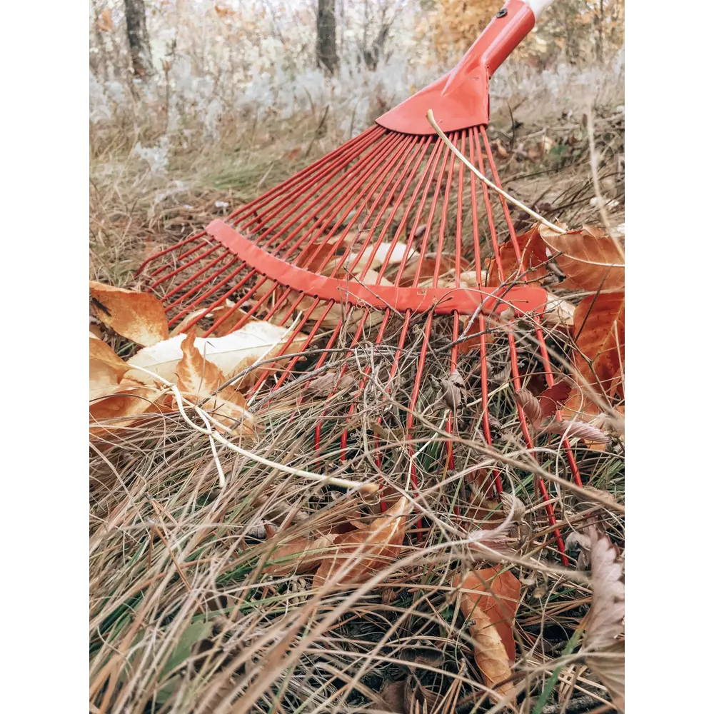 Грабли веерные ПАВЛОВСКАЯ ЗАРЯ для ухода за садом и газоном 82167377 STLM-0020904 - Вид №3