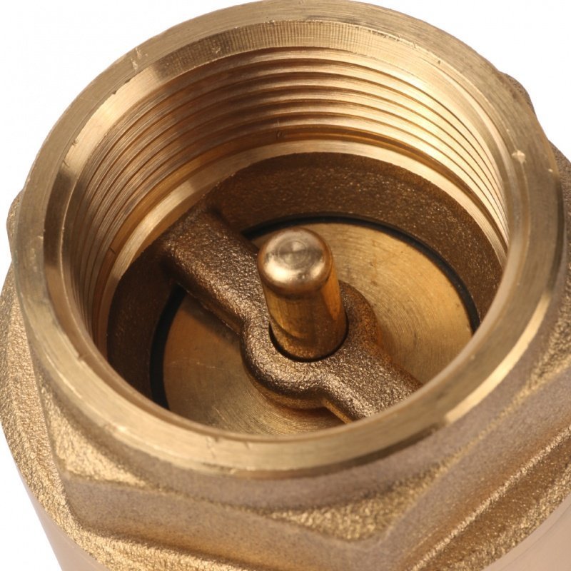 Клапан обратный STOUT 1"1/4 (латунное седло) пружинный SVC0011000032 - Вид №1