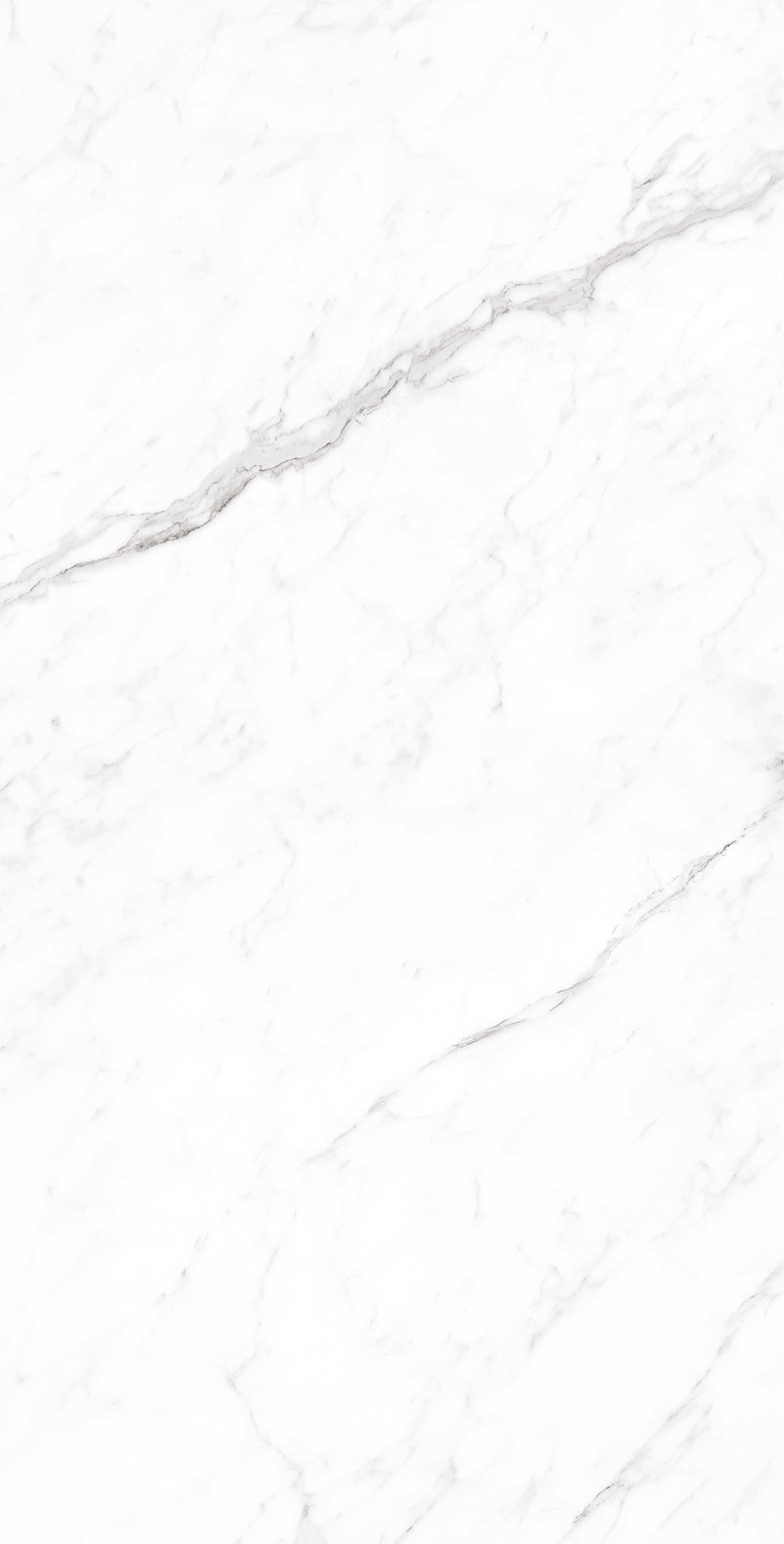 CORALINA WHITE Creanza CP4003-A - Вид №1