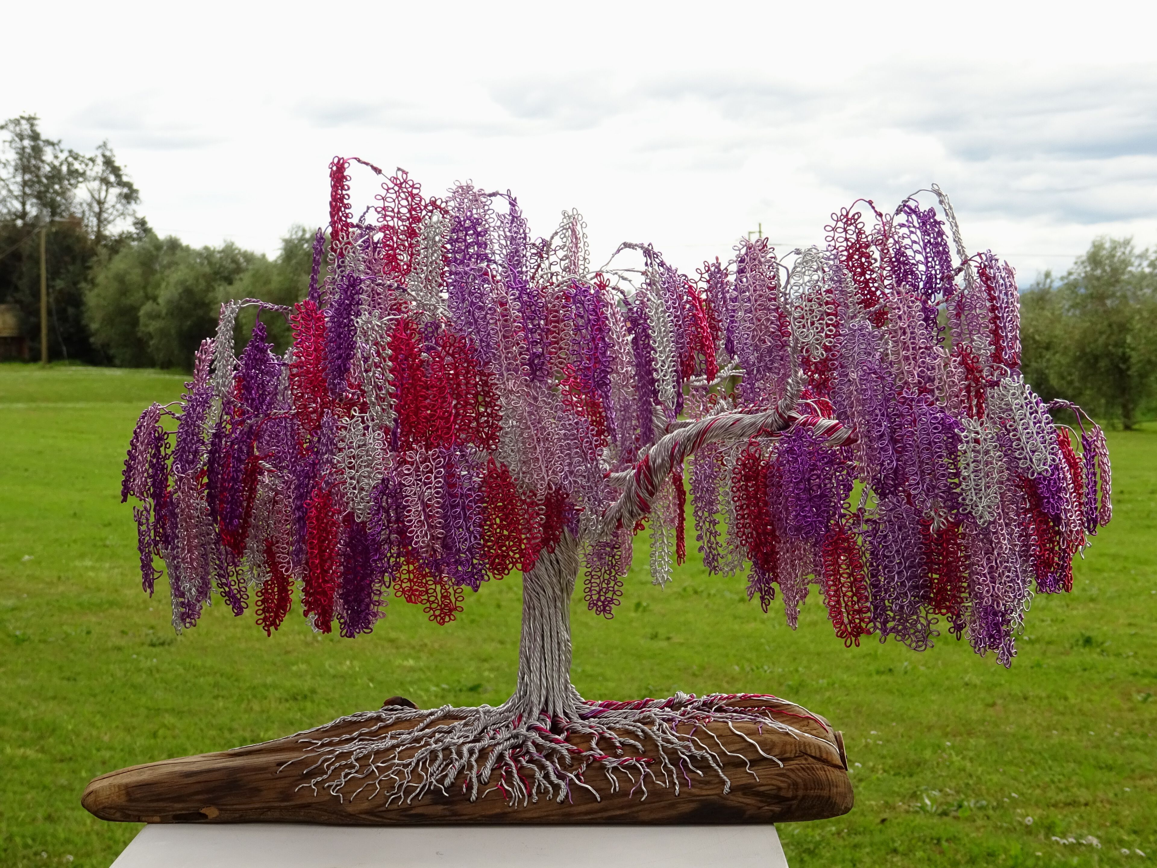 Скульптура из алюминия и оливкового дерева Mosche Bianche Zen Bonsai ARCH-00005033 - Вид №2