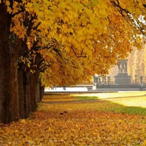 WP01423 Фотообои Verol Фотообои decoline 1х1 м