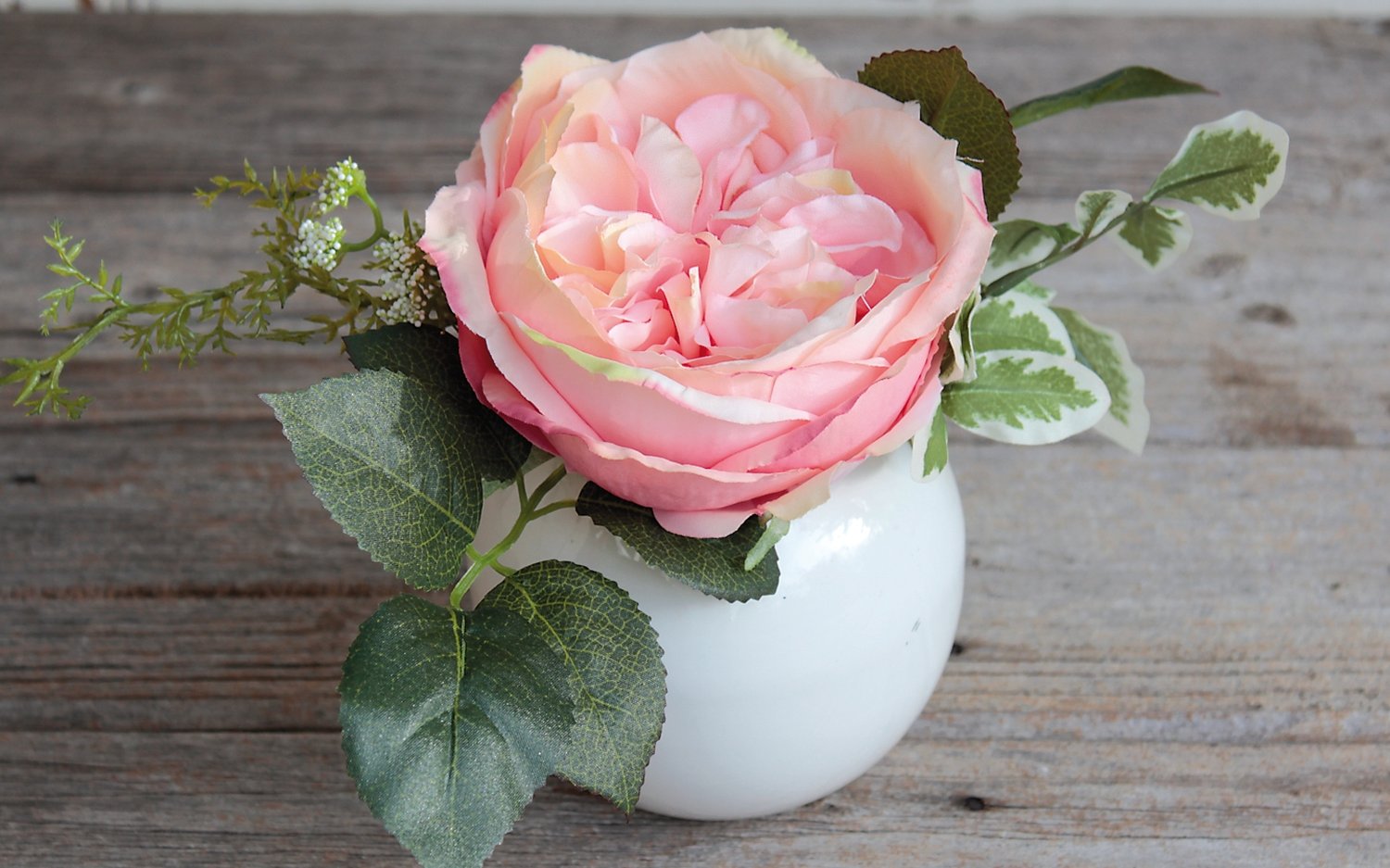 4219 553 a3 Ложная роза в керамическом горшке, 17 см, абрикос H-andreas  - Вид №2