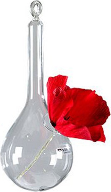 10533131 Serax Ваза подвесная 18см Стекло 