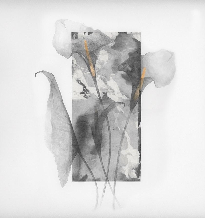 Wall&decò Водостойкие моющиеся обои с цветочными мотивами Wet system 19 sun-id-1456021 - Вид №1