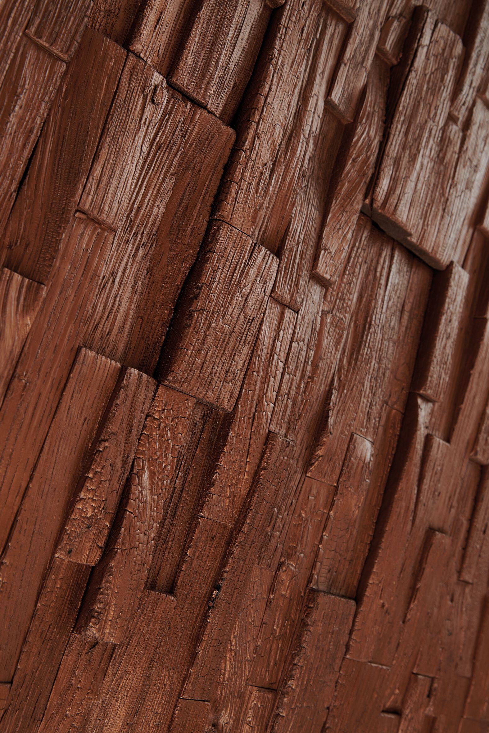 Трехмерная карбонизированная древесина для интерьера Sapiens SYSTEM.3D ARCH-00081766 - Вид №2