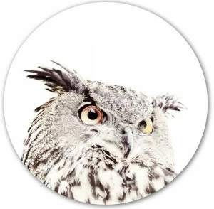 Groovy Magnets Клейкий мотив украшения Animal St-60-o