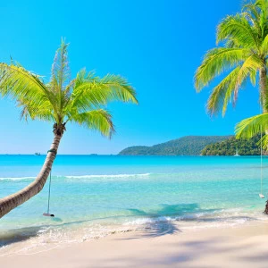 C1-103 Фотообои DIVINO Collection C 2.7х3 м