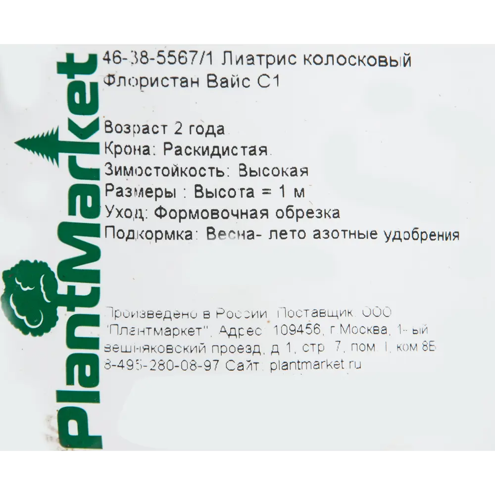 Лиатрис колосковый «Флористан Вайс» 14x40 см 82625236 STLM-2079184 PLANTMARKET  - Вид №1