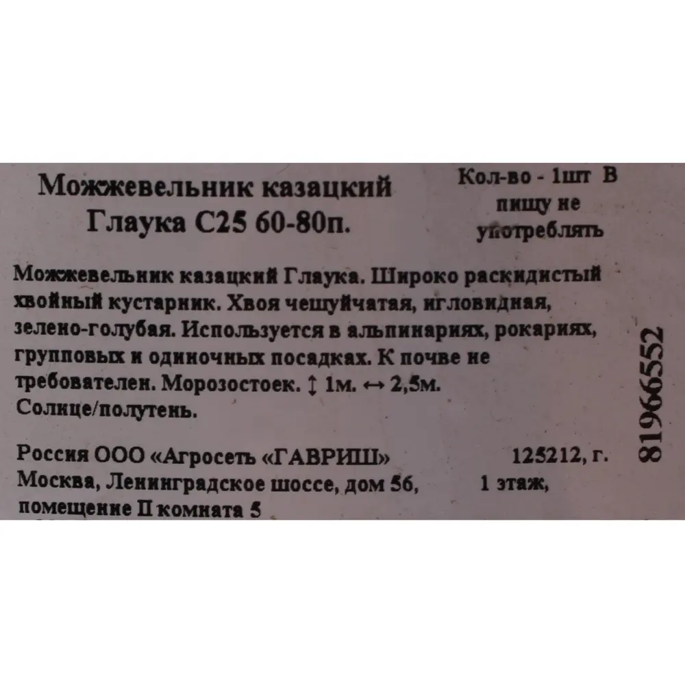 Можжевельник казацкий глаука С25 60-80 см 81966552 STLM-2095054 Santreyd  - Вид №1