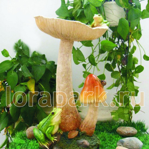 3298 ГРИБЫ LAB.Space 