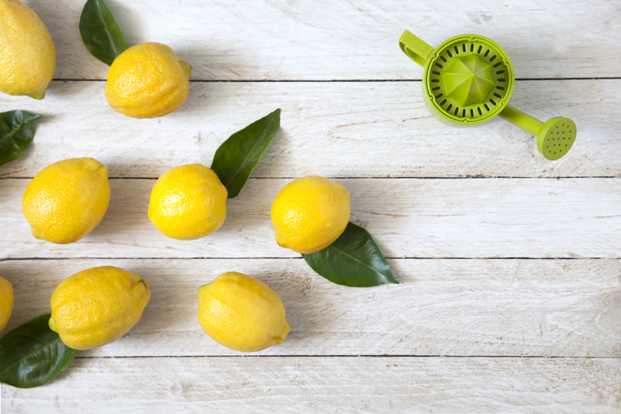 PE600 Соковыжималка для лимонов lemoniere Peleg Design  - Вид №14