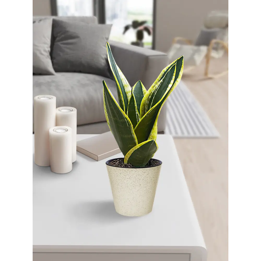 Кашпо Homver London ø20 h18.3 см v4 л пластик светло-бежевый STLM-2075944 - Вид №3