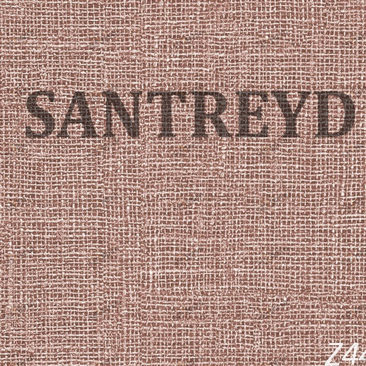 44918 Обои Zambaiti Parati Trussardi 4