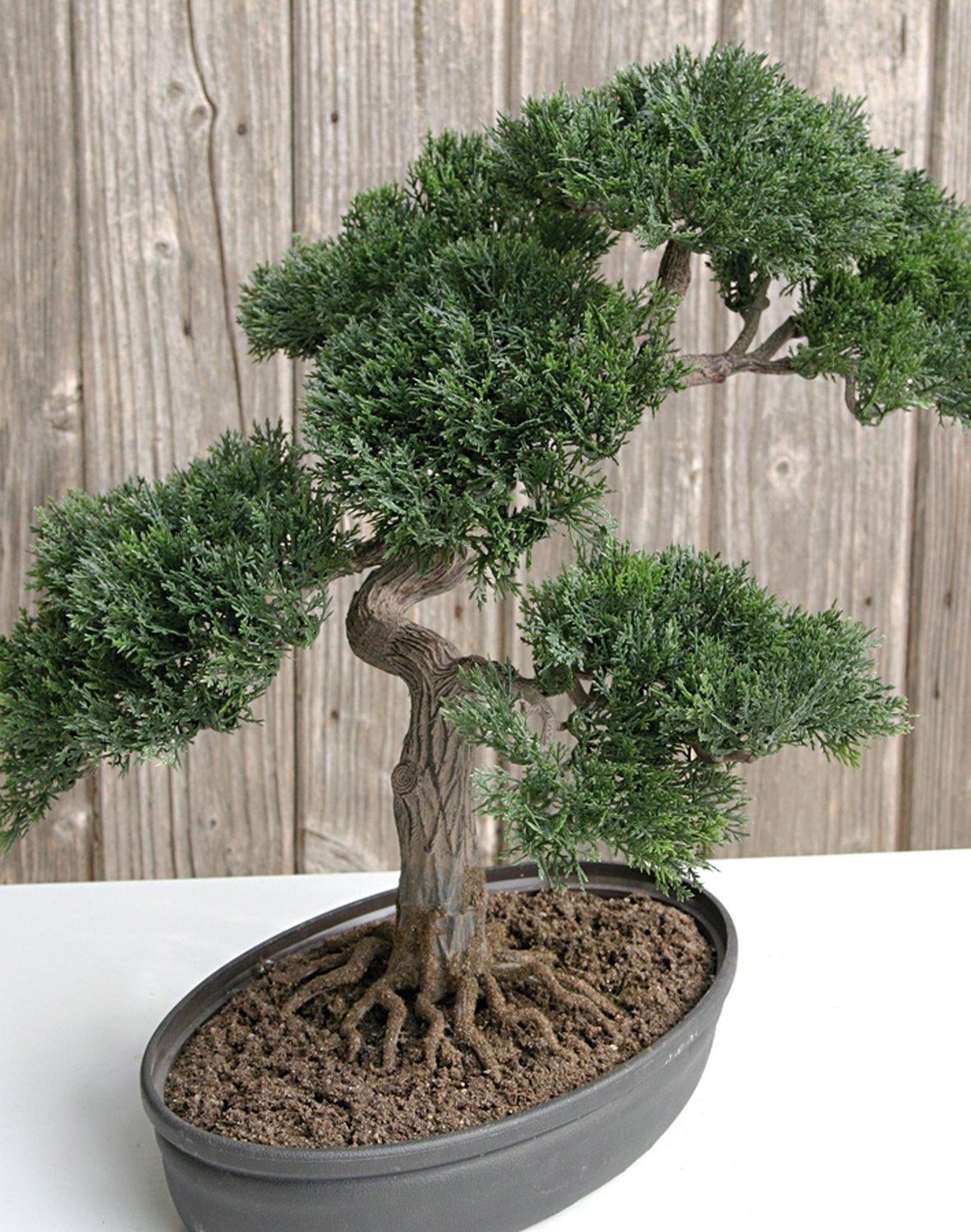 5913 883 a3 Бонсай имитация кедра, горшечная, 40 см, зеленая H-andreas 