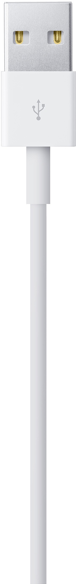MD819ZM/A Lightning to usb cable (2 m) Apple Santreyd  - Вид №3
