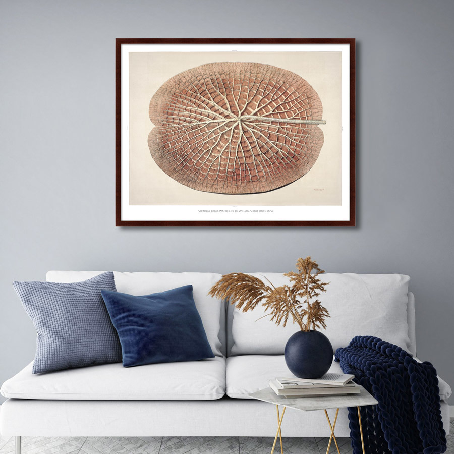 Картина: Leaf of a gigantic water lily, 1870г. КАРТИНЫ В КВАРТИРУ  264212 Разноцветный  - Вид №2