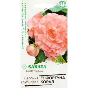 Бегония «Фортуна Корал» F1, 4 шт. 82097838 STLM-2171248