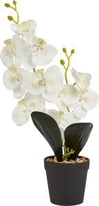 86762943 Искусственное растение Орхидея 40x39.5 см ПВХ цвет белый STLM-0071430 Santreyd