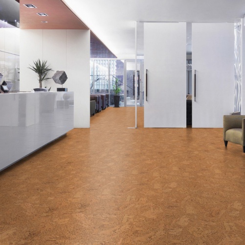 Пробка Wicanders Eco Cork Accent (Гладкая) 600х300 мм DN17002 - Вид №44