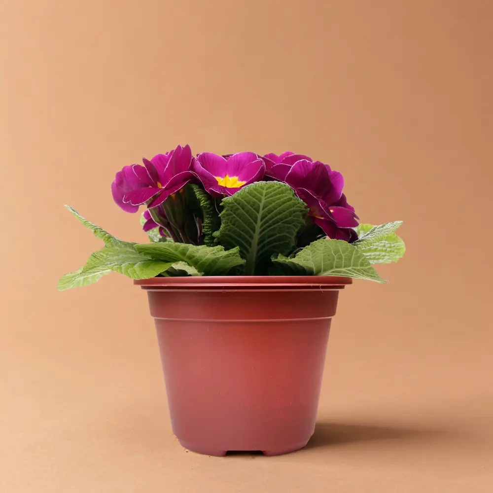 ГАЗОНCITY Color — набор горшков для рассады с вентиляцией, 10 шт терракот 89397538 STLM-1570811 - Вид №3