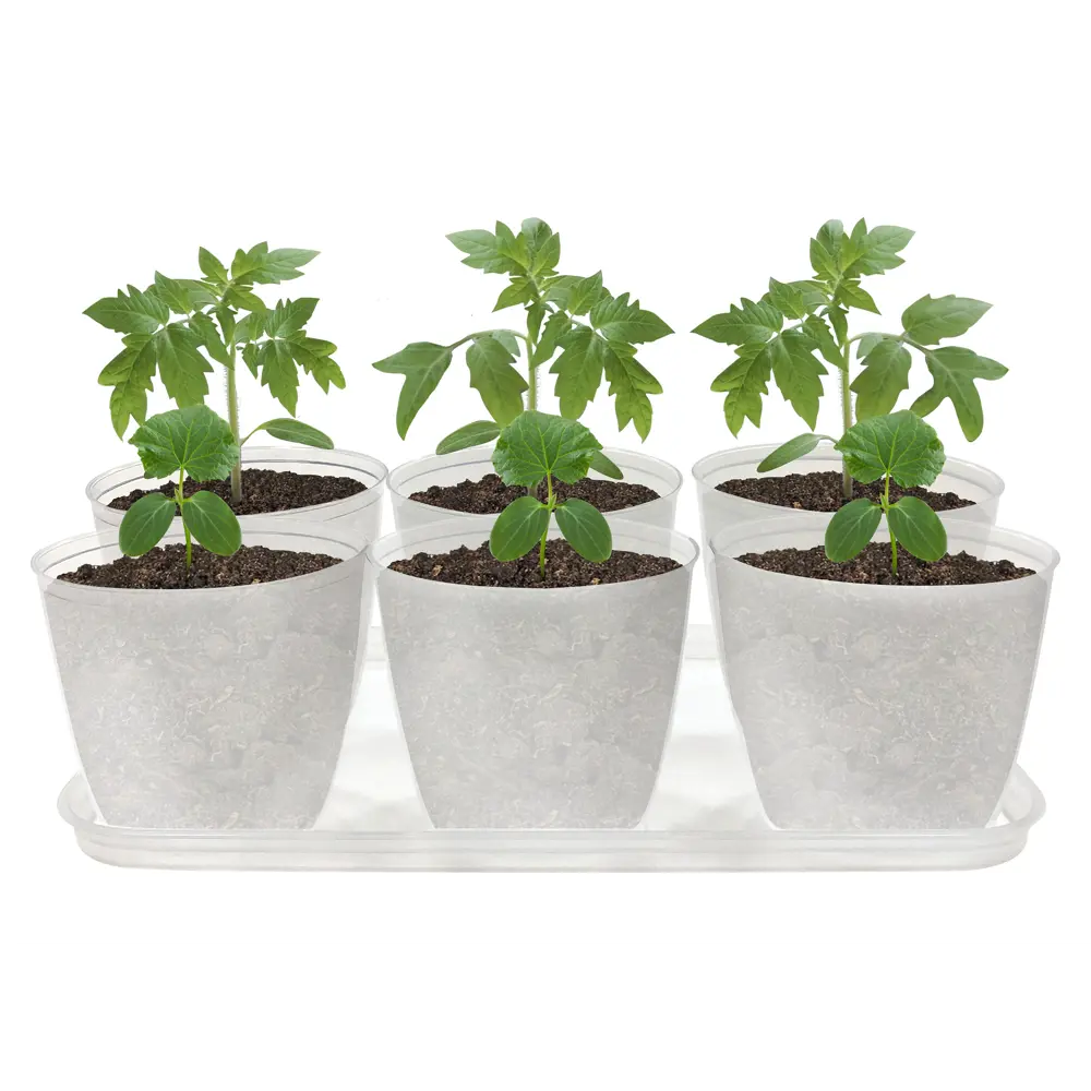 Ingreen: Набор практичных горшков для рассады 6 штук 89344120 STLM-0951495 - Вид №1