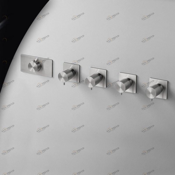 Термостат для душа AICO TER57S серебристый матовый Radomonte