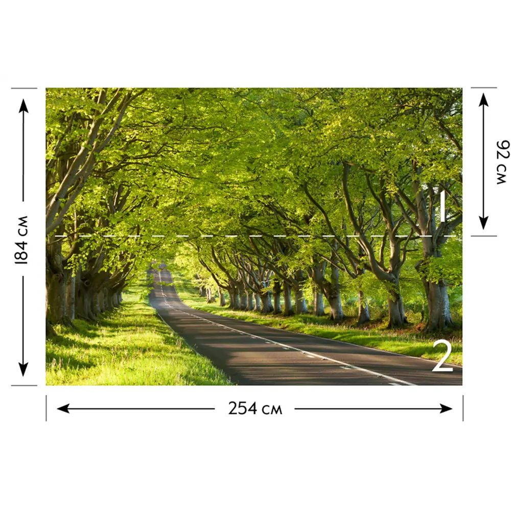 Фотообои бумажные «Чувство весны» 254х184 см POSTERMARKET STLM-2012588 - Вид №2