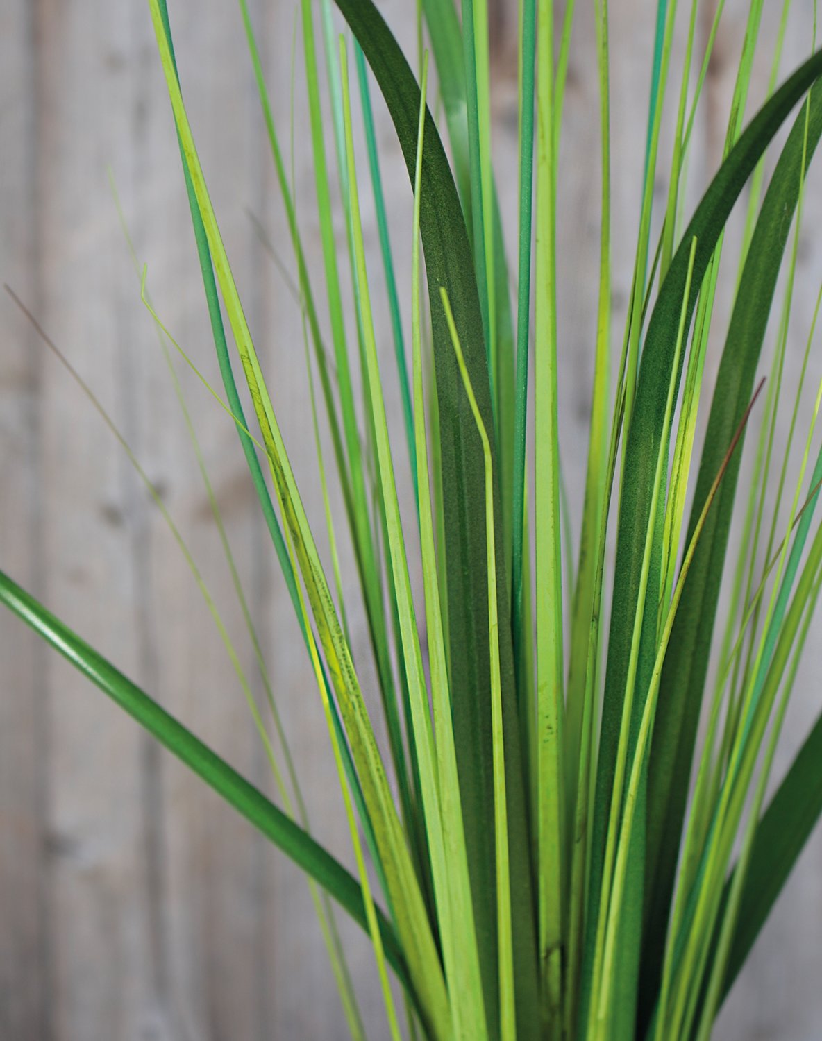 4945 807 a3 Мяч из искусственной травы, 75 см, зелено-белый H-andreas  - Вид №10