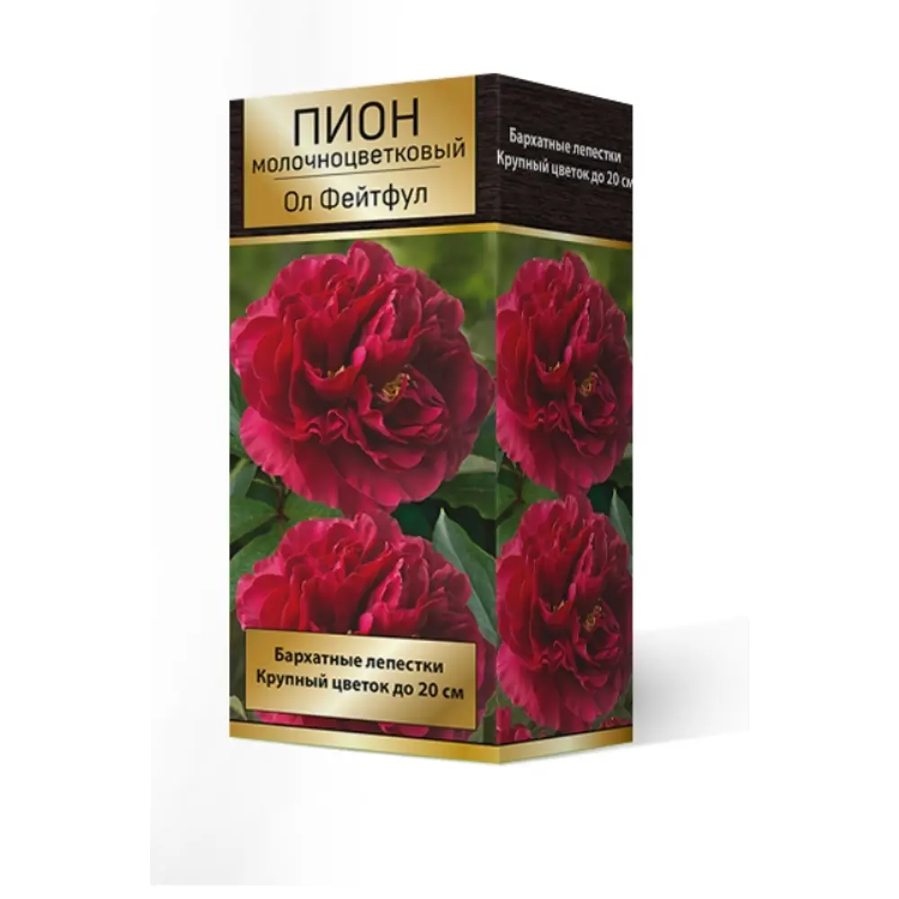 Пион травянистый Ол Фейтфул луковица 2-3 83600271 STLM-2148426 Santreyd 