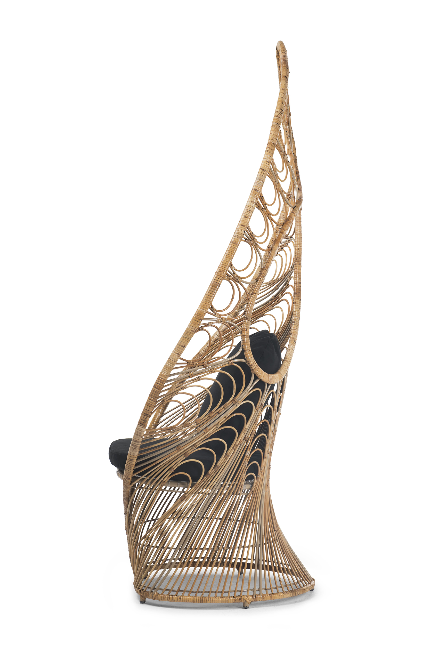 2000983241443 Кресло Gentle KENNETH COBONPUE Peacock - Вид №1