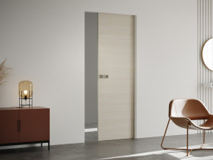 Дверь заподлицо стены