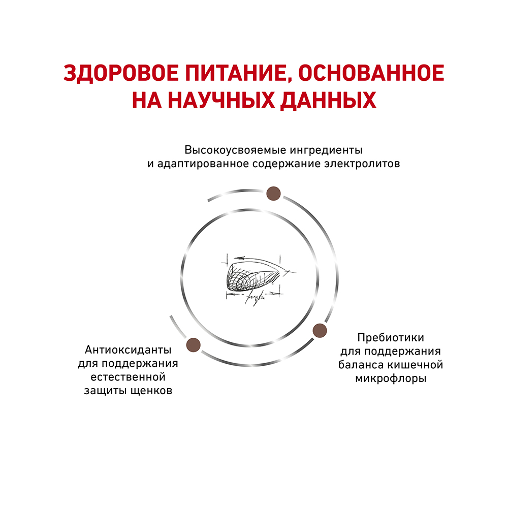 ПР0053520 Корм для щенков Vet Diet Gastro Intestinal Junior GIJ29 при нарушении пищеварения сух. 1кг ROYAL CANIN  - Вид №3