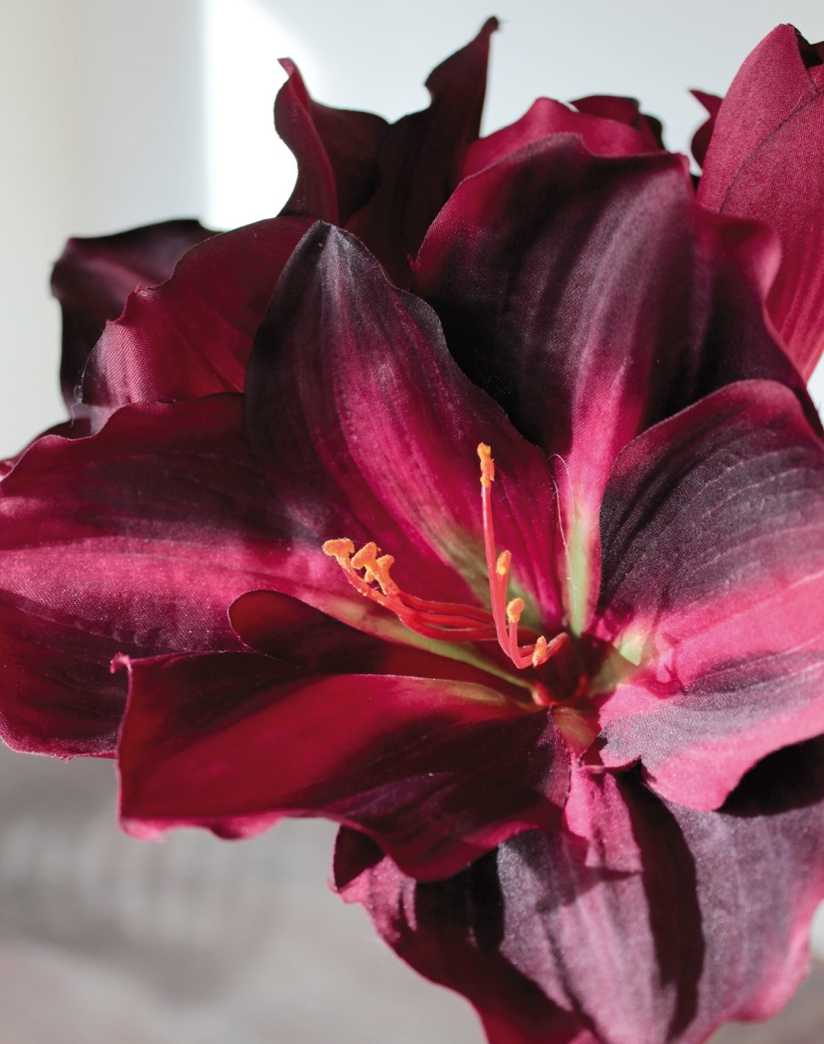 2422 449 a3 Амариллис пластиковый, горшечный, 65 см, бордовый H-andreas 