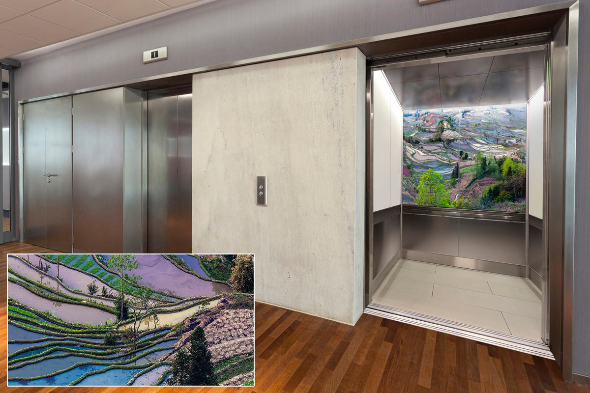 FSRT380 Стекло Vivispectra Zoom с прослойкой echeveria elegans Forms-surfaces  - Вид №19