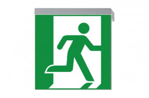 DST-1779 Ikus 2222-p Daisalux Светильники сигнальные Серебристо-Серый