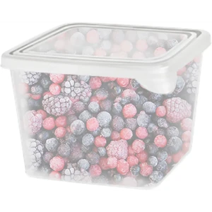 Емкость для заморозки Plast Team 0.75 л пластик цвет прозрачный 3 шт