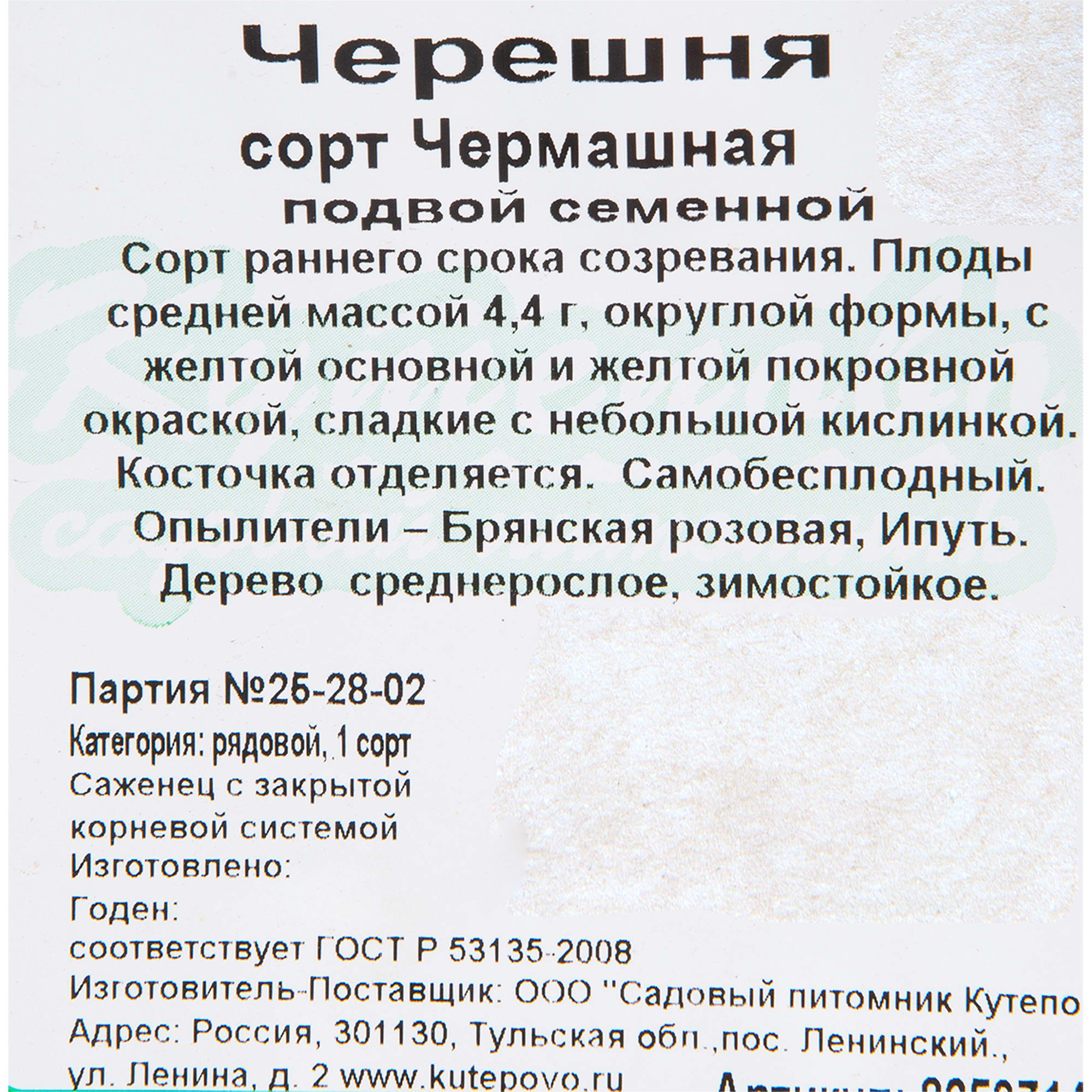 82597149 Черешня «Чермашная» C4 высота 140 см Santreyd  - Вид №1