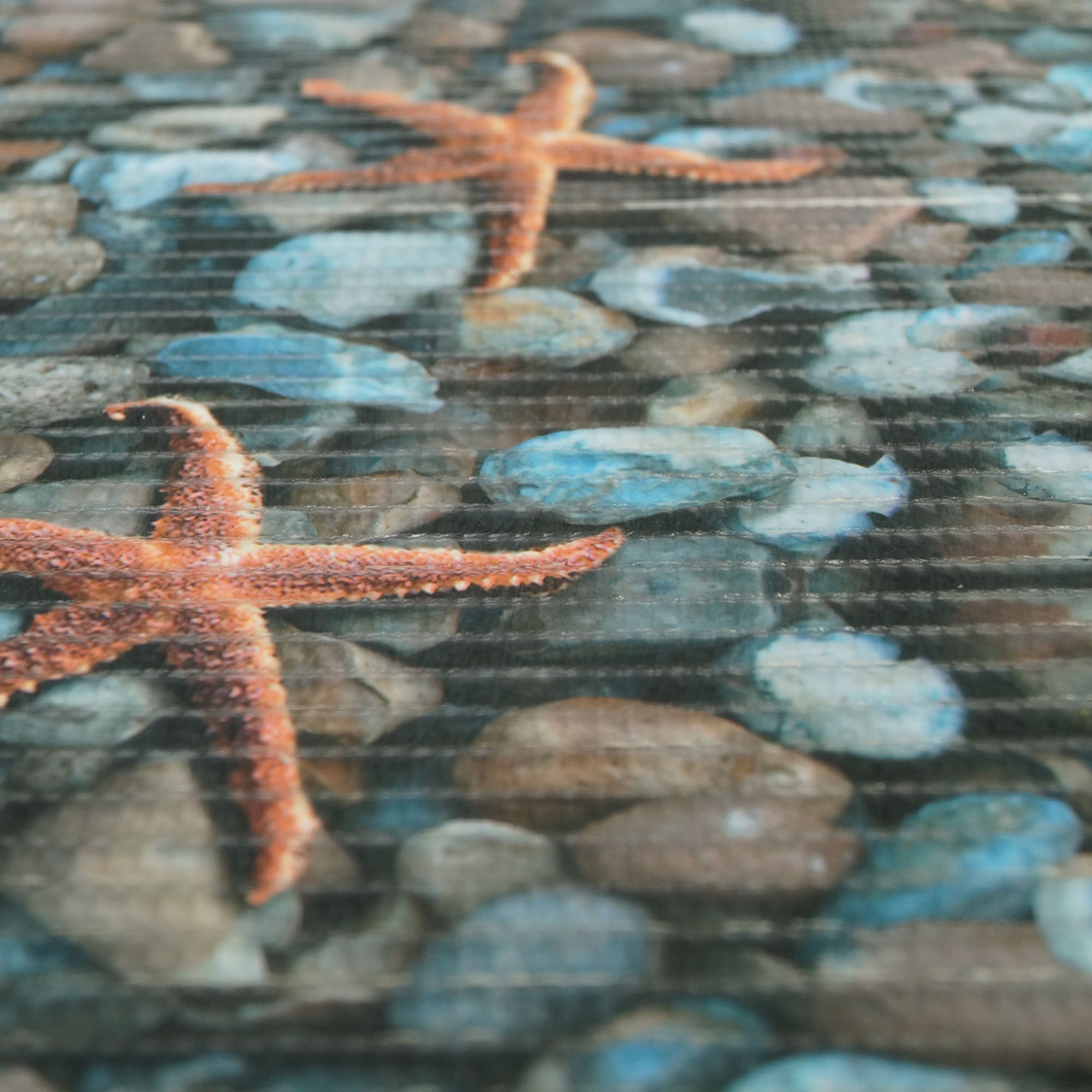 81955723 Дорожка ковровая «Фото» FV2 ПВХ 65 см Santreyd  - Вид №2