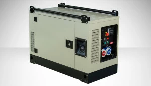 Бензиновый генератор Fogo FV17001CRA с АВР