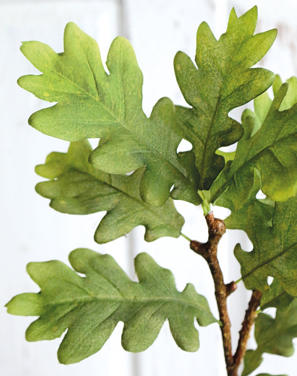 4856 883 a3 Искусственный дуб спрей, 86 см, зеленый H-andreas  - Вид №1