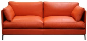 Duvivier Canapés 2-х местный кожаный диван со съемным чехлом Lodge Lodgxf21