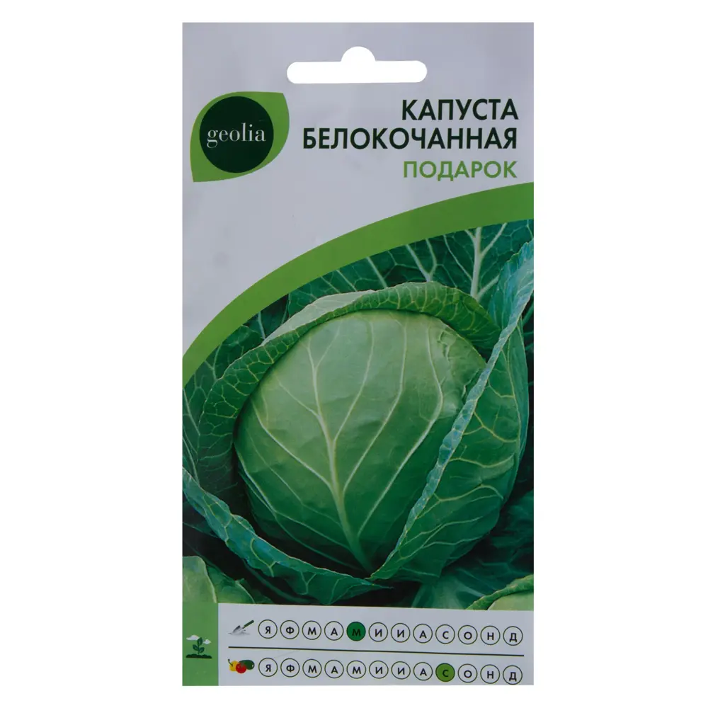 Семена капусты белокочанной Geolia Подарок - среднепоздний сорт для длительного хранения 17585421 STLM-0008376